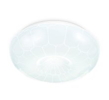 Потолочный светильник Ambrella Light Orbital Air FZ1088