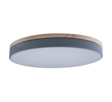 Потолочный светильник Loft IT AXEL 10001/36 Grey