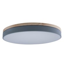 Потолочный светильник Loft IT AXEL 10001/36 Grey