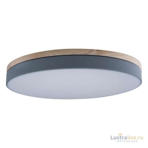 Потолочный светильник Loft IT AXEL 10001/36 Grey Потолочный светильник Loft IT AXEL 10001/36 Grey