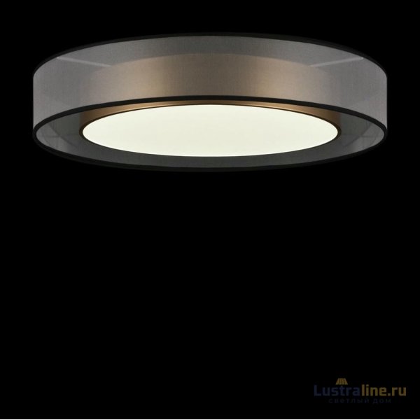 Потолочный светильник Freya Zoticus FR6005CL-L48G Потолочный светильник Freya Zoticus FR6005CL-L48G