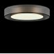Потолочный светильник Freya Zoticus FR6005CL-L48G