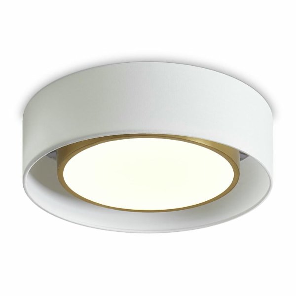 Потолочный светильник Freya Cozy FR6170CL-L52BS