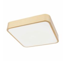 Потолочный светильник Loft IT Flims 10228/C