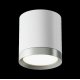 Потолочный светильник Maytoni Technical Hoop C086CM-GX53-MRD-WS