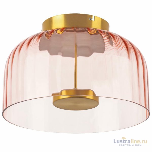 Потолочный светильник Lightstar Celesta 809062
