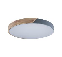 Потолочный светильник Loft IT AXEL 10004/36 Grey