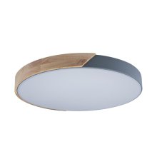 Потолочный светильник Loft IT AXEL 10004/36 Grey