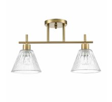 Потолочный светильник Lumion Vivian 8188/2C