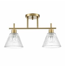 Потолочный светильник Lumion Vivian 8188/2C