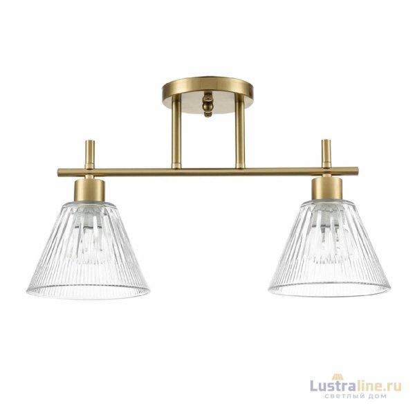 Потолочный светильник Lumion Vivian 8188/2C