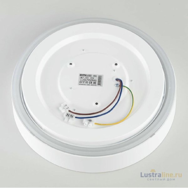 Потолочный светильник Citilux Boss CL751250G