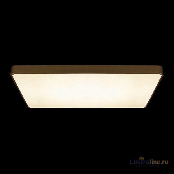 Потолочный светильник Loft IT Flims 10228/E
