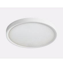 Потолочный светильник Italline IT011-5024 white