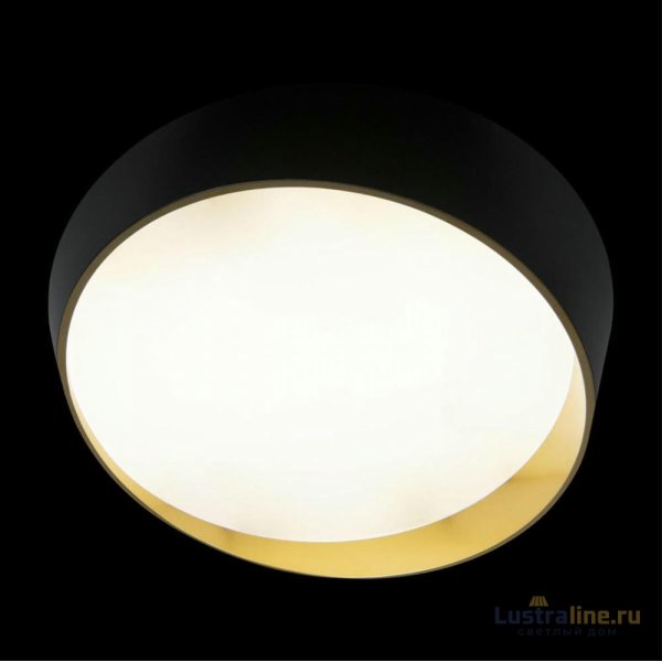 Потолочный светильник Loft IT Coin 10199 Black Потолочный светильник Loft IT Coin 10199 Black