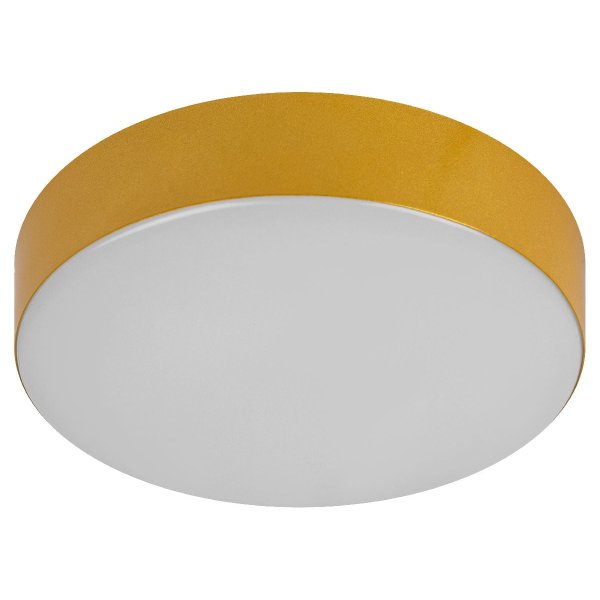 Потолочный светильник Эра Relict 22 SPB-6-20 4К MG Б0059509