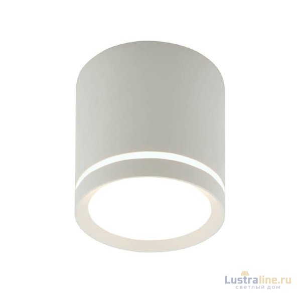 Потолочный светильник Denkirs DK4016 DK4013-WH