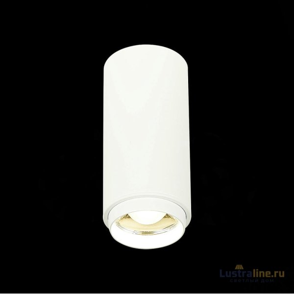 Потолочный светильник ST Luce Zoom ST600.542.10