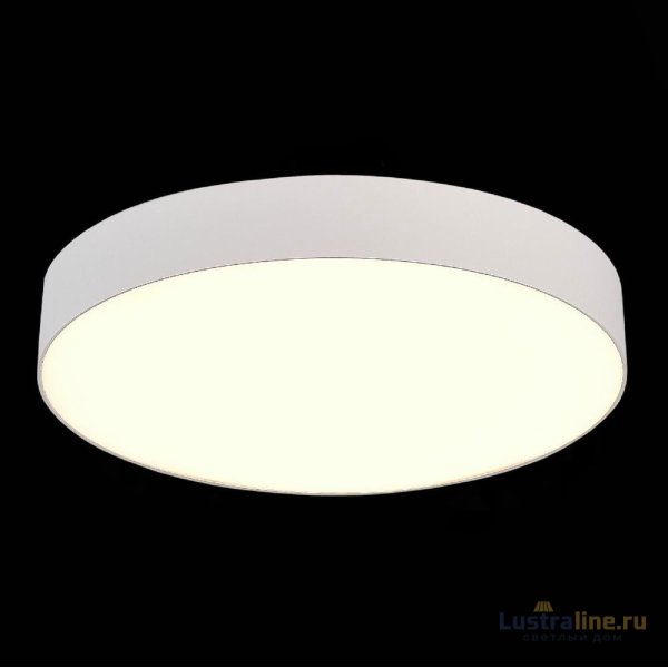 Потолочный светильник ST Luce ST606.532.48
