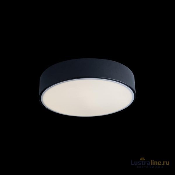 Потолочный светильник Loft IT AXEL 10002/12 Black Потолочный светильник Loft IT AXEL 10002/12 Black