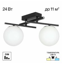 Потолочный светильник Citilux Dorsy CL223122