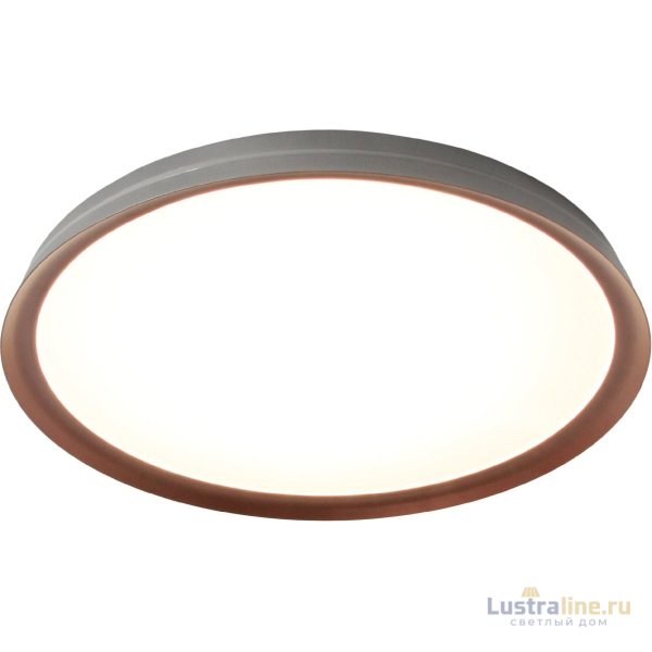 Потолочный светильник Mizi en Titan MZ31502-640