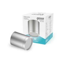 Потолочный светодиодный светильник Gauss Overhead HD019