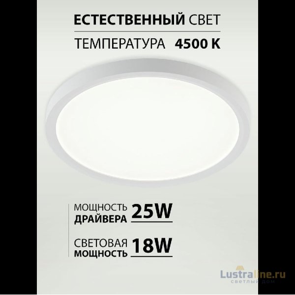 Потолочный светильник Natali Kovaltseva Plain LED LAMPS 81113/2C Потолочный светильник Natali Kovaltseva Plain LED LAMPS 81113/2C