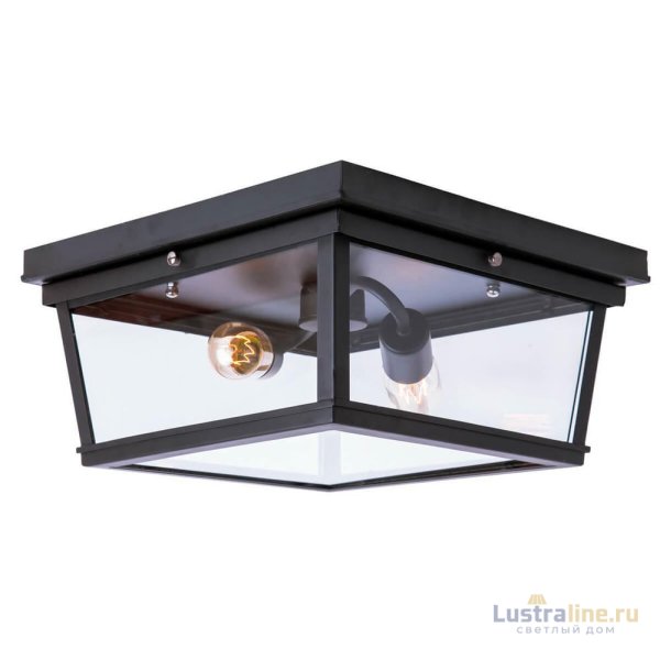 Потолочный светильник LOFT IT Modern filament Loft3110-2C