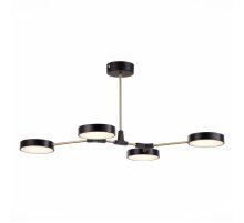 Потолочный светильник Evoluce Monta SLE6004-402-04