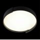 Потолочный светильник Loft IT Coin 10200 Black