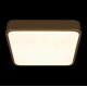 Потолочный светильник Loft IT Flims 10228/C