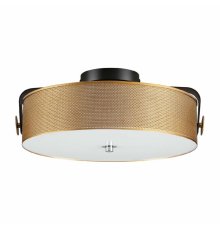 Потолочный светильник Lumion Drumy 6597/40L