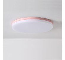 Потолочный cветильник ImperiumLoft Disc 193126-26