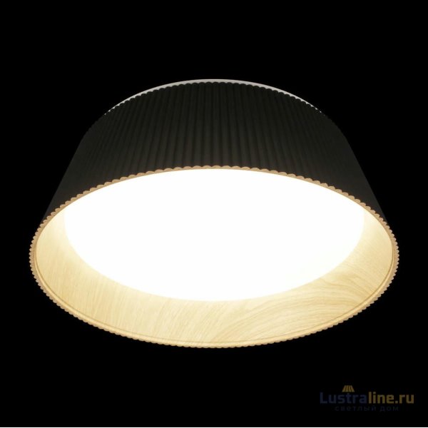 Потолочный светильник Loft IT Evans 10224 Black Потолочный светильник Loft IT Evans 10224 Black