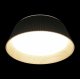 Потолочный светильник Loft IT Evans 10224 Black