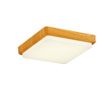 Потолочный светильник EVOLUCE TADDIO SLE200202-01