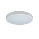 Потолочный светильник Loft IT AXEL 10002/24 White