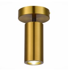 Потолочный светильник ST Luce Talia SL1215.402.01