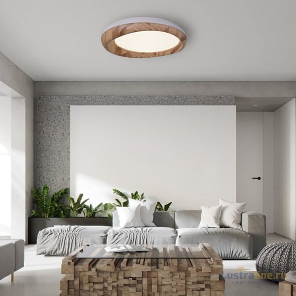 Потолочный светильник ImperiumLoft Runis 219478-26 Потолочный светильник ImperiumLoft Runis 219478-26