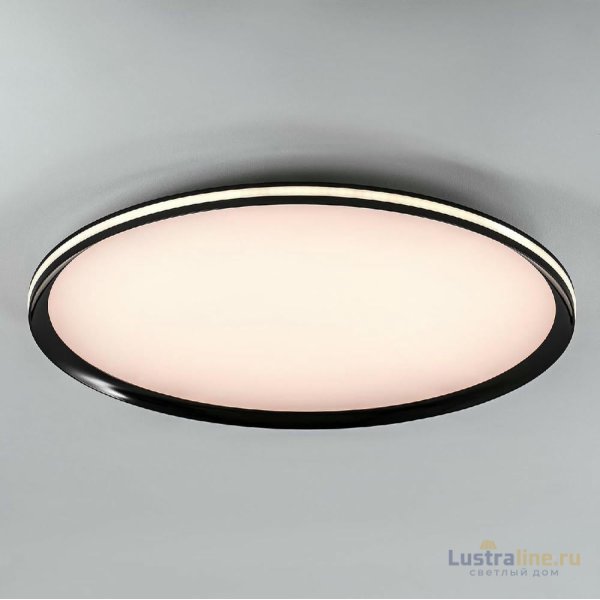 Потолочный светильник LED4U L3020-600 BK