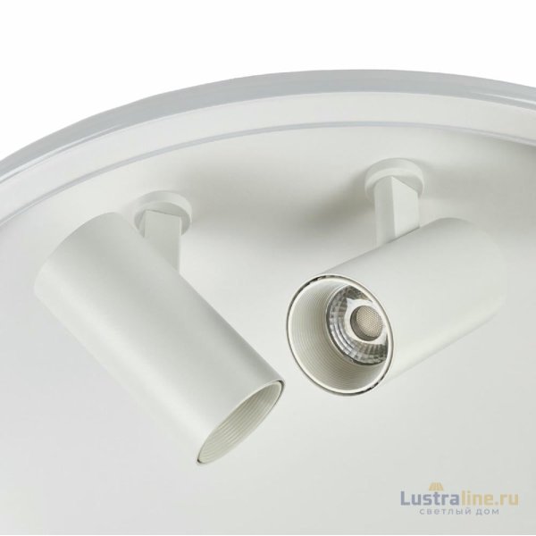 Потолочный светильник Myfar Focus MR9050-CL