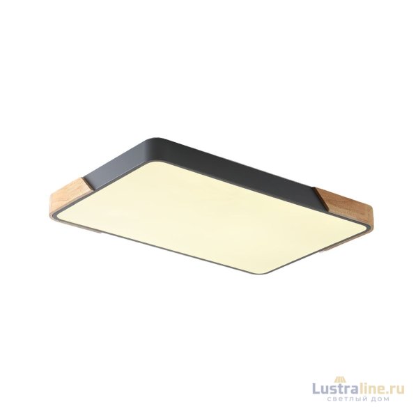 Потолочный светильник Zortes Alberro ZRS.01277.60 Потолочный светильник Zortes Alberro ZRS.01277.60
