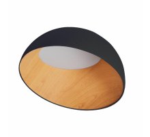 Потолочный светильник Zortes Baum ZRS.01243.05