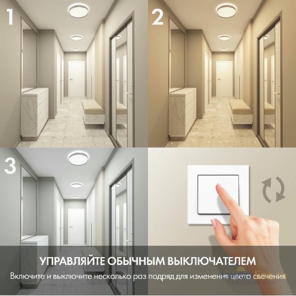 Потолочный светильник Denkirs Plato DK6511-WH/1 Потолочный светильник Denkirs Plato DK6511-WH/1