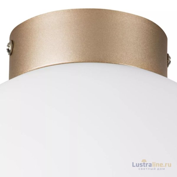 Потолочный светильник Lightstar Globo 812023 Потолочный светильник Lightstar Globo 812023