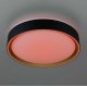 Потолочный светильник Citilux Boss CL751251G