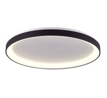 Потолочный светильник Deko-Light Merope 348187
