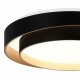 Потолочный светильник Evoluce Crosby SLE6009-402-01
