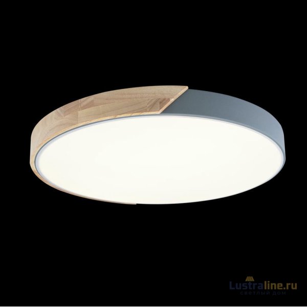 Потолочный светильник Loft IT AXEL 10004/36 Grey Потолочный светильник Loft IT AXEL 10004/36 Grey